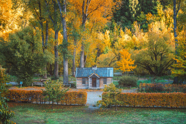 A little hut surrounded by autumnal leaves in Arrowtown - New Zealand